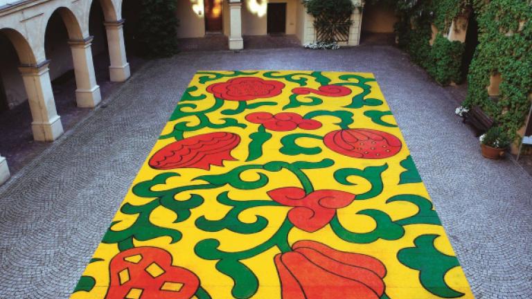 Thomas Weil Bloom In