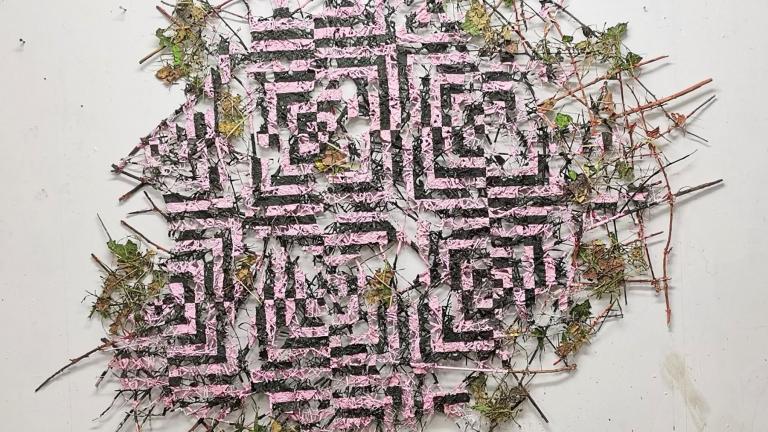 Oliver Westerbarkey, Wildfalle Hard Edge, 2026