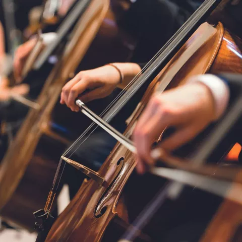 Augsburg-Nürnberger Kammerkonzert