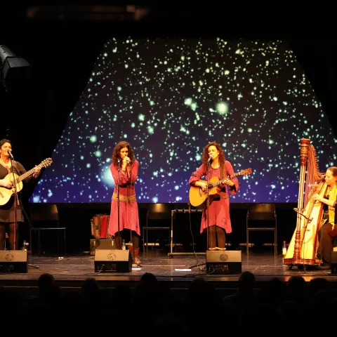 Vivid Curls © Peter Roth